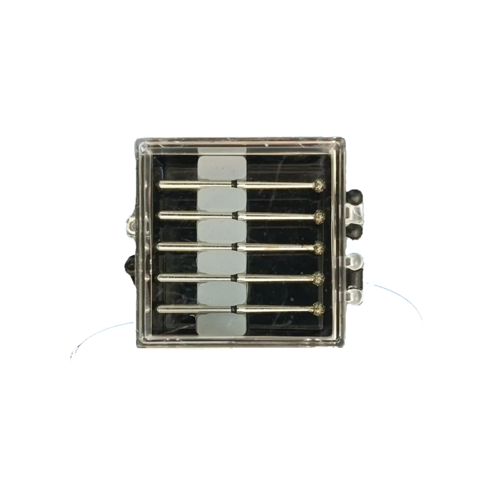 ⁦سنابل عنق طويل⁩ - الصورة ⁦1⁩